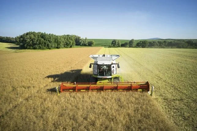 Интересует зерновых уборка в Запорожской обл. найму комбайн - фото № 1