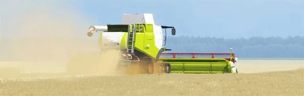 Синельниково 250 га зерновых нужно убрать найму комбайн - фото № 1