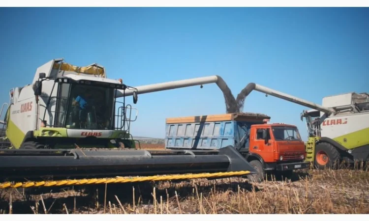 Услуги по уборке урожая: подсолнечник, соя, кукуруза в Сумах - фото № 1