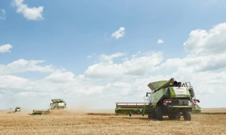 Услуги уборка урожая аренда комбайна комбайн трал негабарит Херсон Великая Александровка - фото № 1