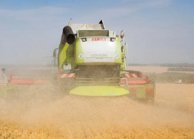 Уборка кукурузы подсолнечника соняшника льна сои Ладыжин Винница Липовец Литин Немиров - фото № 1