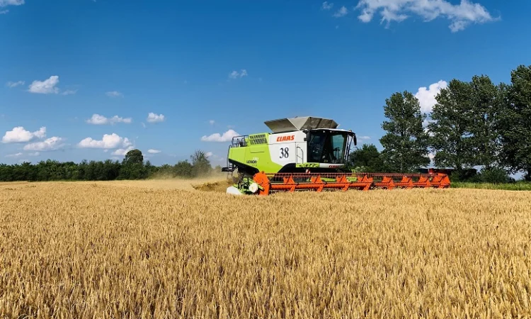 Найму комбайн трактор сеялку бункер-перегрузчик опрыскиватель сельхозтехнику по Украине - фото № 1