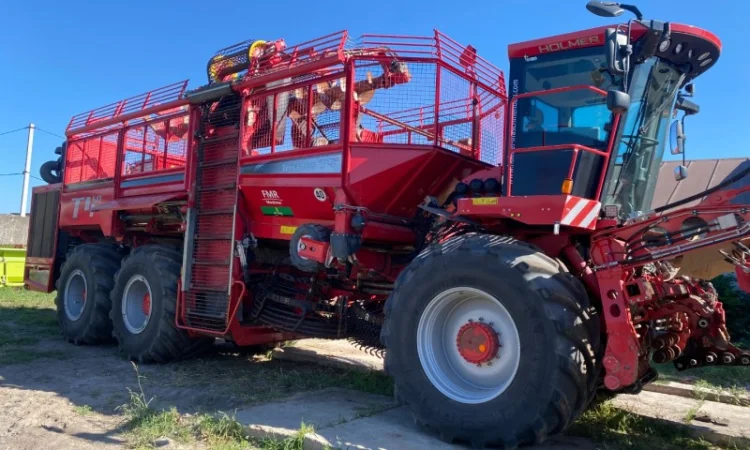 Услуги по сбору сахарной свеклы с комбайном Holmer T4-40 - фото № 1