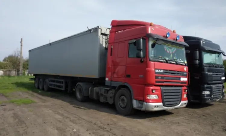 Послуги збирання врожаю сільськогосподарської продукції - фото № 1