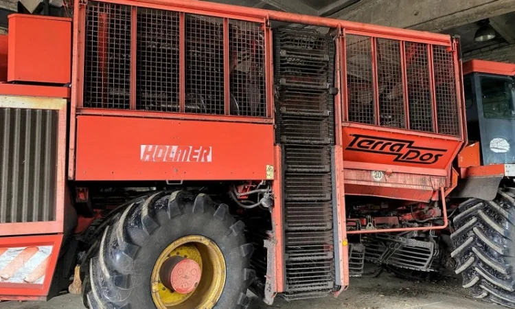 Надаємо послуги бурякозбиральними комбайнами Holmer - фото № 1