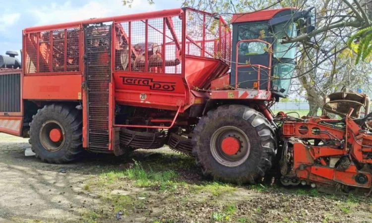 Надаємо послуги бурякозбиральними комбайнами Holmer - фото № 4