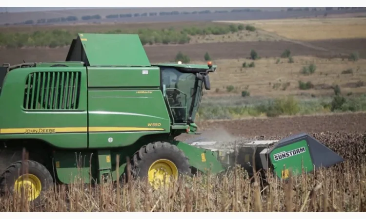 Уборка подсолнечника, Николаевская область, от 500 га на 1 ед. техники, импортные комба - фото № 1