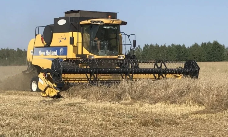 Збирання зернових, соняшника комбайн New Holland CSX7080 - фото № 2