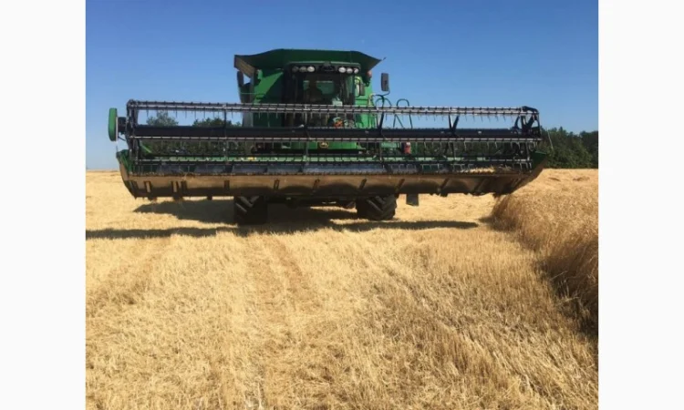 Послуги по збиранню пшениці - фото № 1