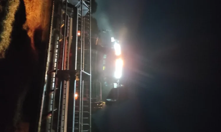 Послуги по збиранню врожаю соняха та кукурудзи - фото № 1