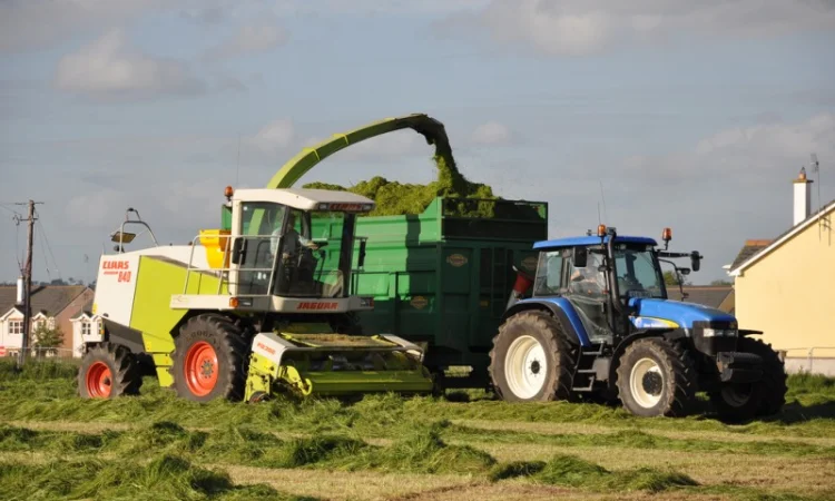 Услуги уборки силоса - фото № 2