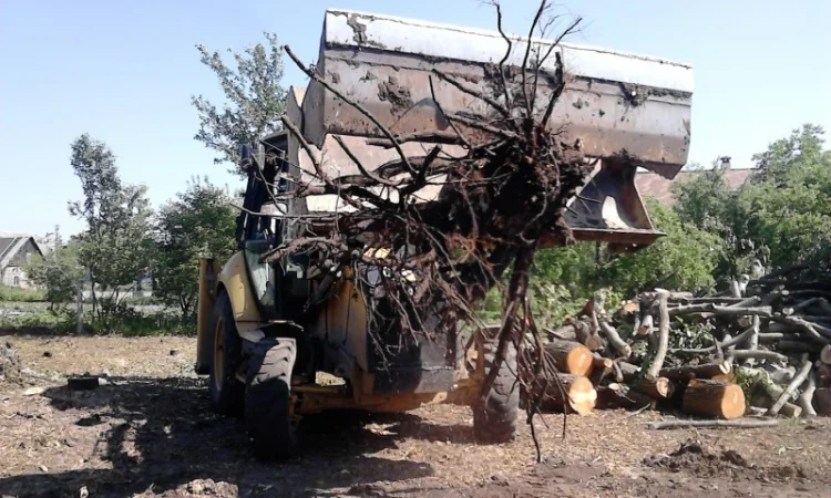 Услуги уборки территории. Уборка территории Киев - фото № 1