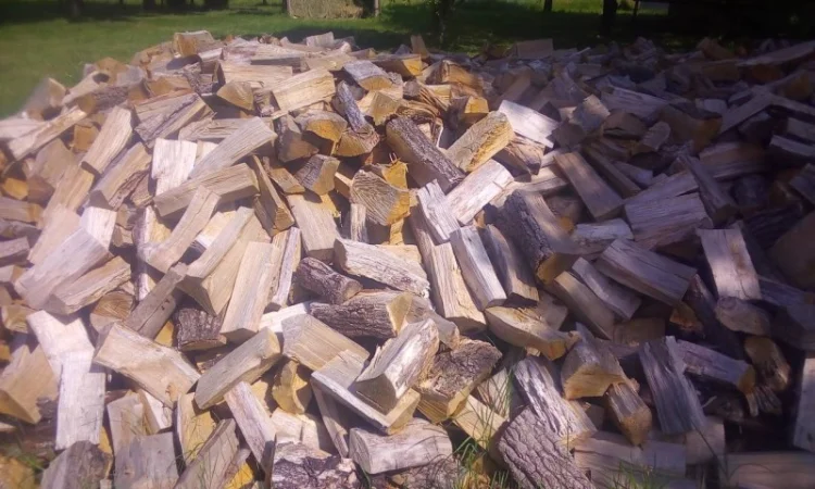 Продам дубовые дрова от производителя 20 кубов - фото № 2