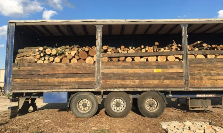 Продам в больших количествах дрова твердых пород и дрова фруктовые - фото № 1