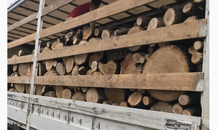 Продам в больших количествах дрова твердих порід і дрова фруктові - фото № 3