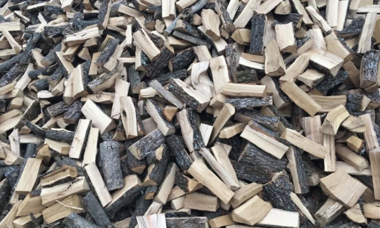 Продам в больших количествах дрова твердых пород и дрова фруктовые - фото № 7