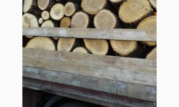 Продам в больших количествах дрова твердых пород и дрова фруктовые - фото № 8