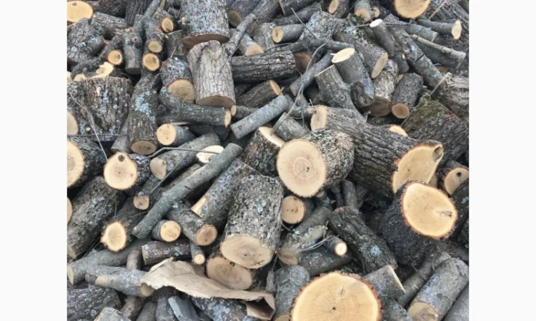 Продам в больших количествах дрова твердых пород и дрова фруктовые - фото № 9