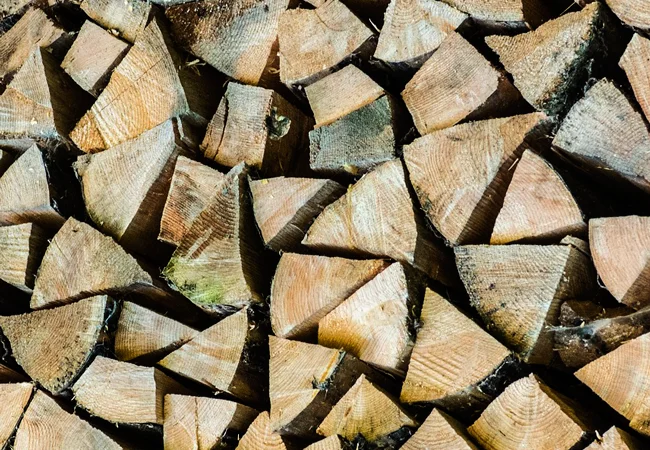 Продаются дрова метровка и колотые по договорной цене - фото № 2