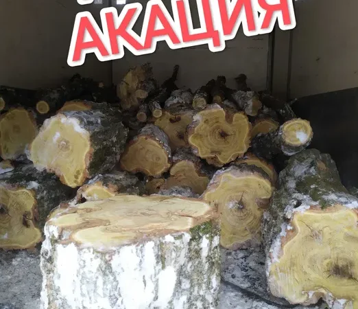 Продажа дров акации - фото № 1