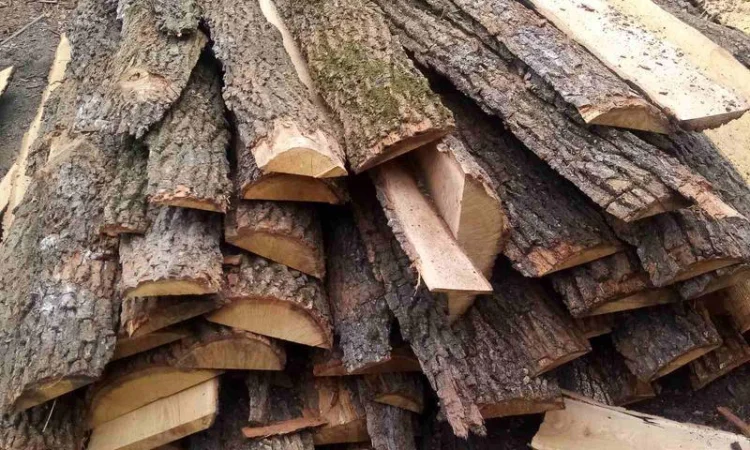 В наявності дубові дрова (обаполи, обзели, обрізки) - фото № 1