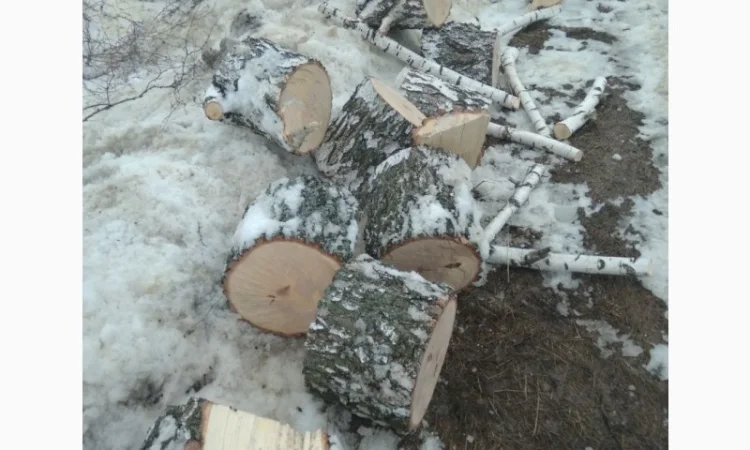 Продам, дрова береза, клен, акація - фото № 2