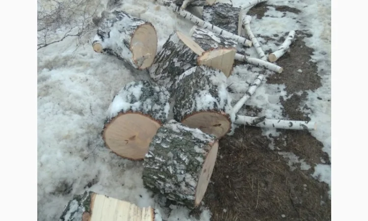 Продам, дрова береза, клен, акація - фото № 4