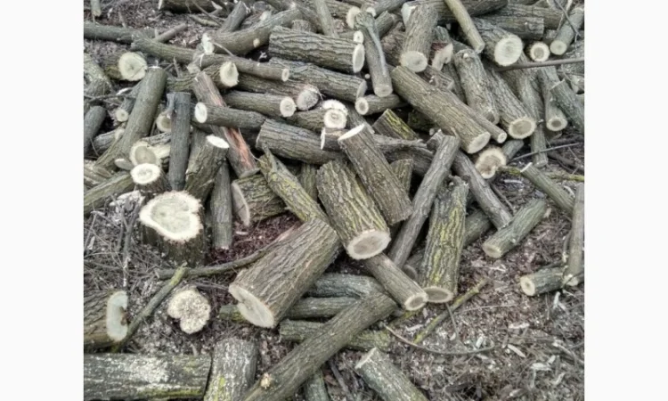 Продаж ДРОВ - фото № 3