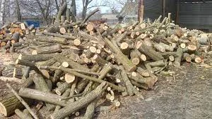 Твердопородні дрова (метровка та колоті) Договірна ціна - фото № 1