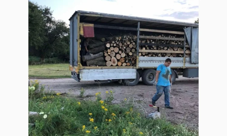 Дрова Белогородка - фото № 1