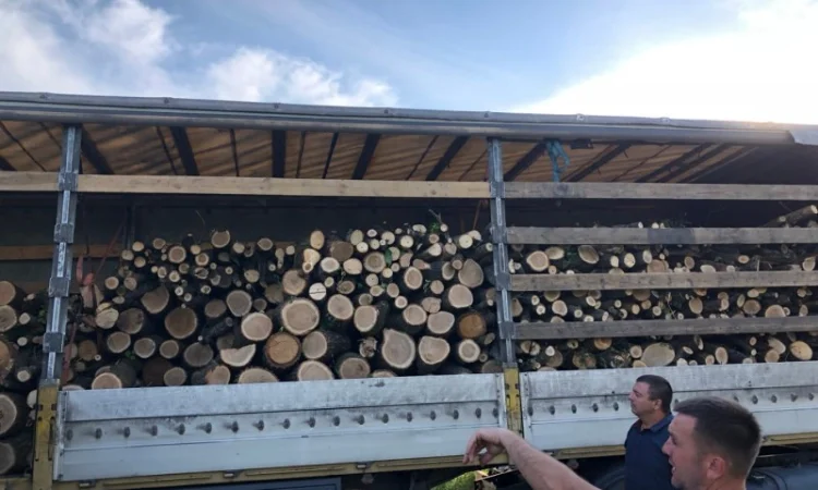 Дрова Хотяновка - фото № 1