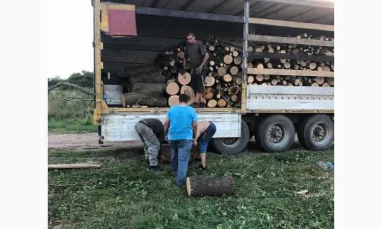 Дрова Бышев - фото № 1