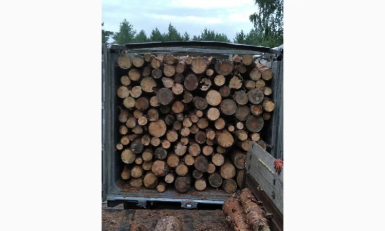 Дрова Ирпень - фото № 1