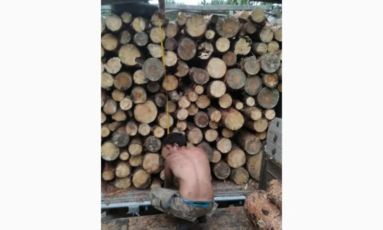 Дрова Буча - фото № 1