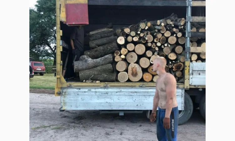 Дрова Коцюбинское - фото № 1