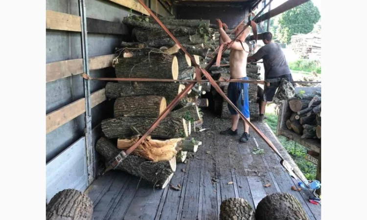 Дрова Иванков - фото № 1