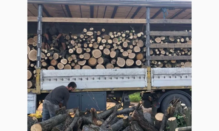 Дрова Конча Заспа - фото № 1