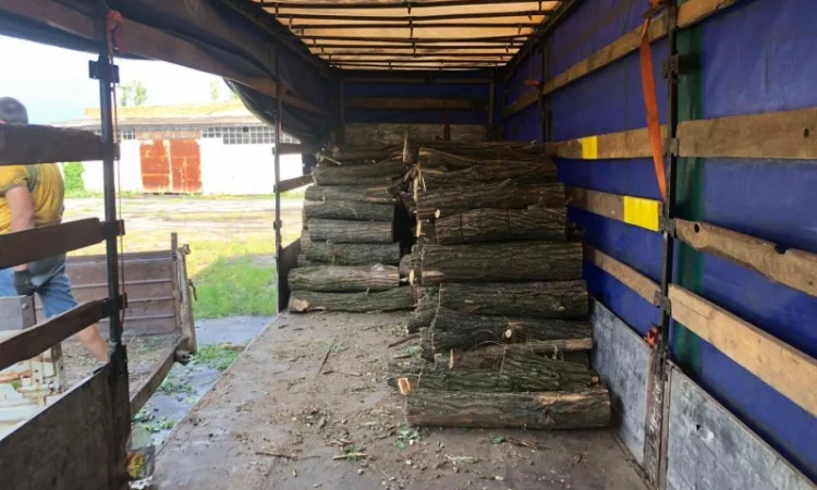 Дрова Плюты - фото № 1