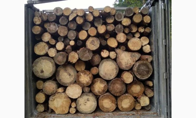 Дрова Мотовиловка - фото № 1