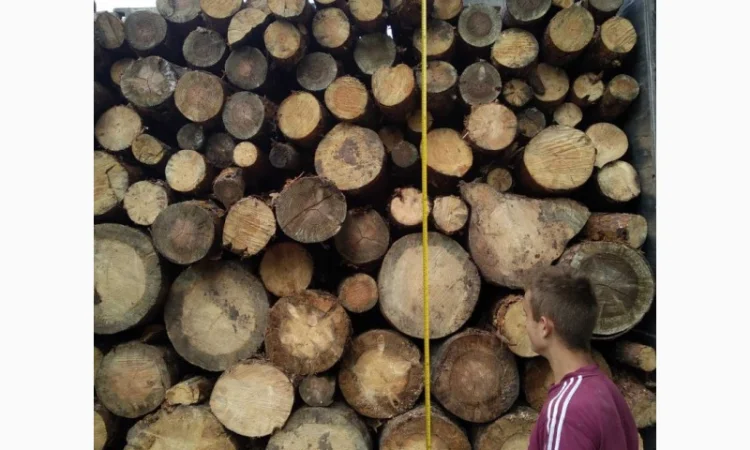 Купить машину дров - фото № 1