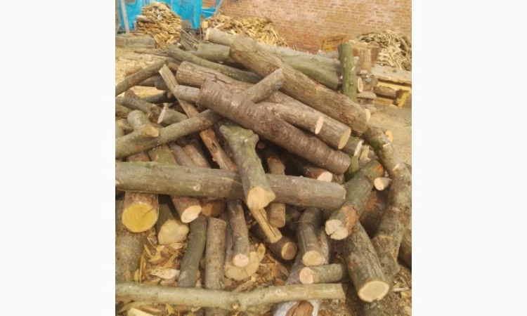 Дрова-метровки - фото № 1