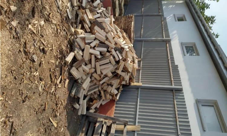 Колоті дрова граба - фото № 1