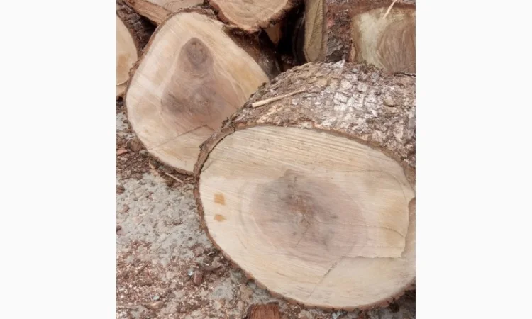 Дрова дуб, ясень, берёза - фото № 1