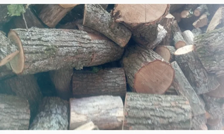 Дрова дуб, ясень, берёза - фото № 2