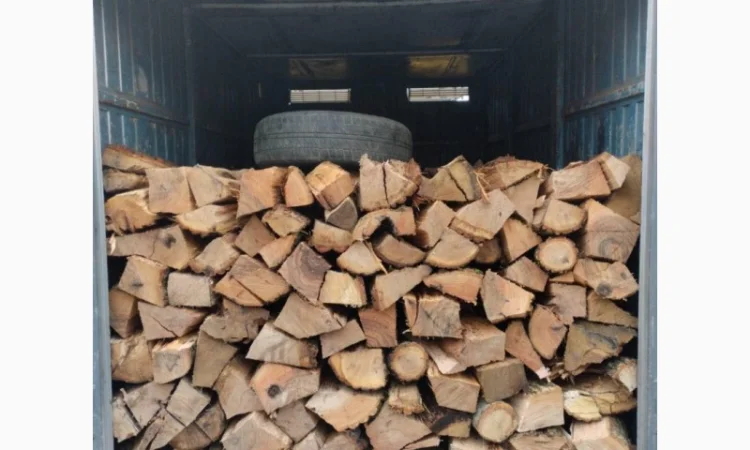 Продажа колотых дубовых дров в Киеве и области - фото № 1