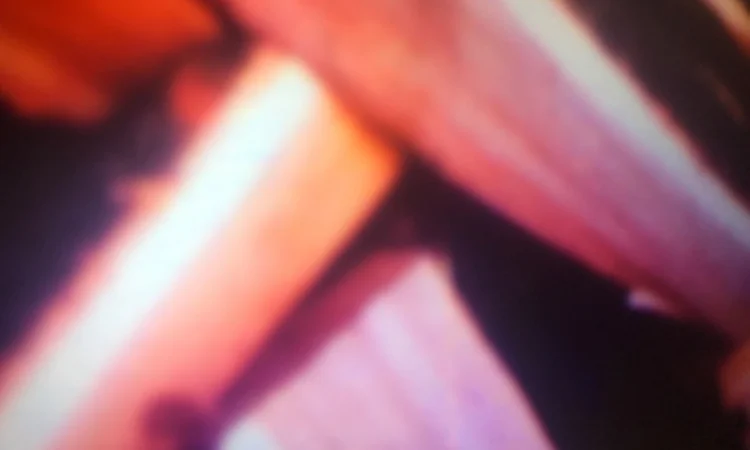 В продажі дрова дуб, ясень.Колоті.Доставка дров по Харькову і пригороду - фото № 1