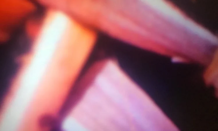 В продажі дрова дуб, ясень.Колоті.Доставка дров по Харькову і пригороду - фото № 2