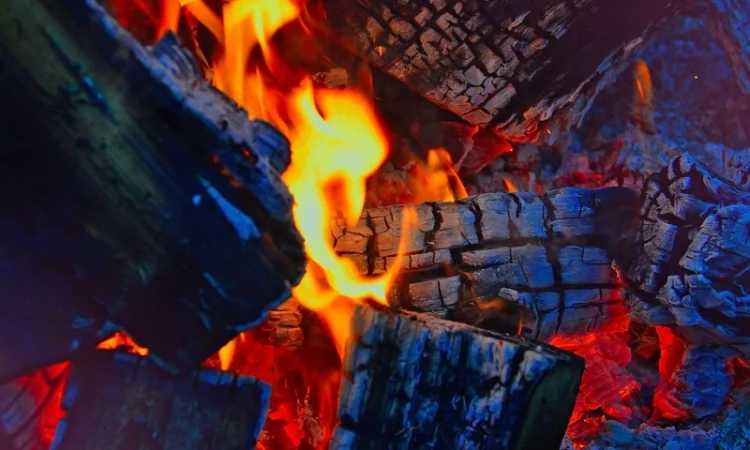 В продаже дрова сосна в чурках є в мітровках.Доставка дров по Харькову і пригороду - фото № 2