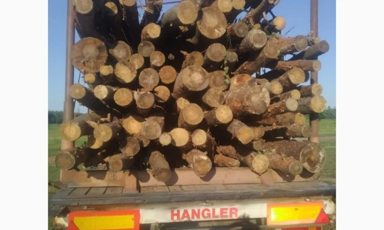 Продам дрова - фото № 1