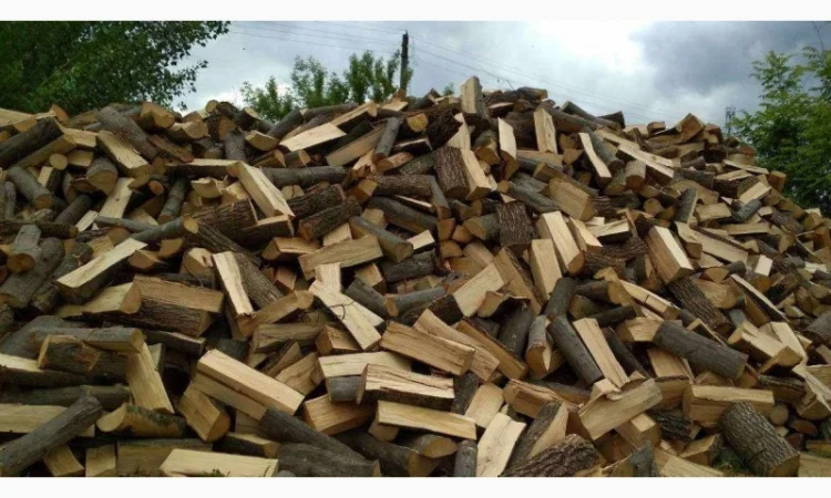 Низькі ціни доставка дров в Горохові, дрова Горохівський район - фото № 1